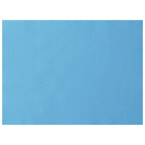 Duni Papier-Tischsets 30 x 40 cm, mint blue 1 Karton = 3 x 500 Stück