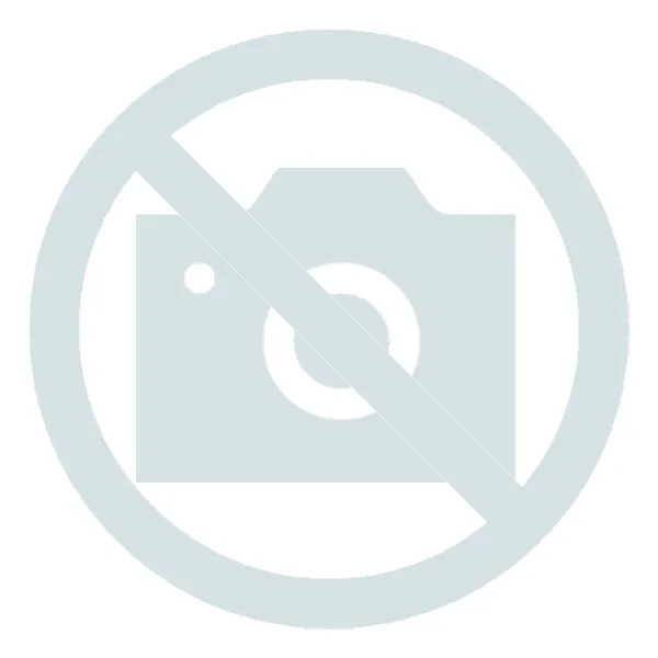 SOLUTION SOLUFRESH NEUTRASOL  Duftkonzentrat Smoky (Rauch/Tabak) 1 Karton = 4 Flaschen