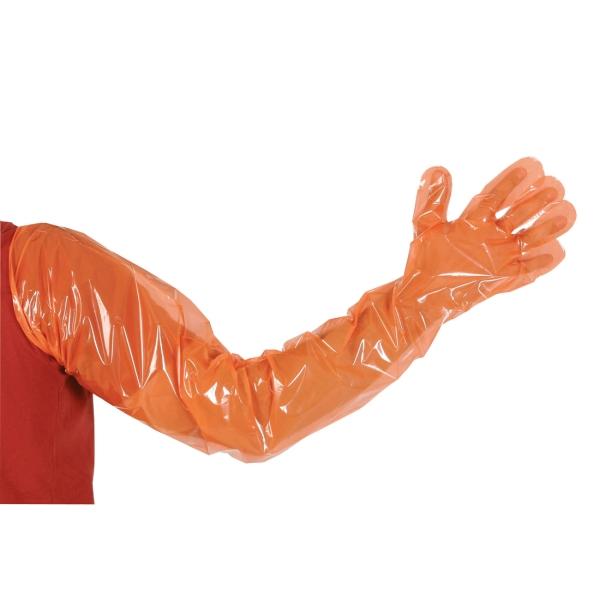 Bild 2 KERBL Einmalhandschuhe Vetbasic
