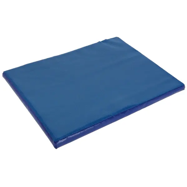 KERBL Desinfektionsmatte   55 x 45 x 3 cm  6 l Fassungsvermögen. blau 