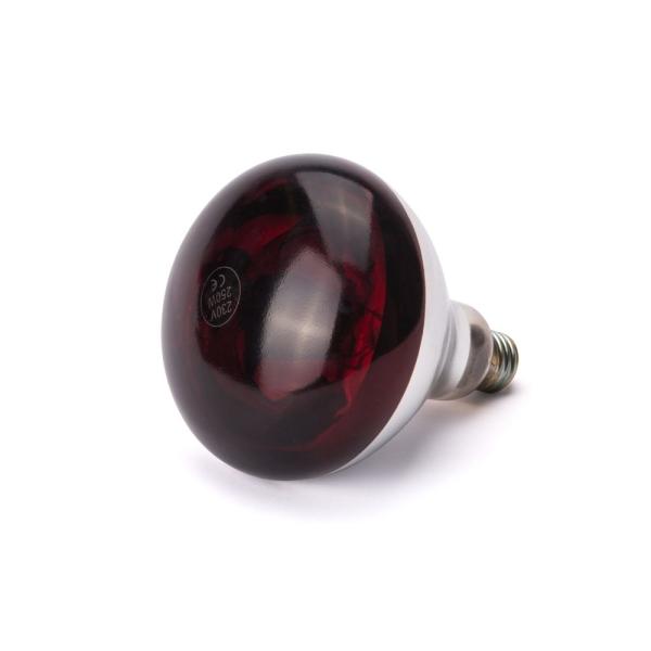 Bild 2 HENDI Infrarot-Glühlampe Rot 230V / 250W Ø 125 x 170 mm