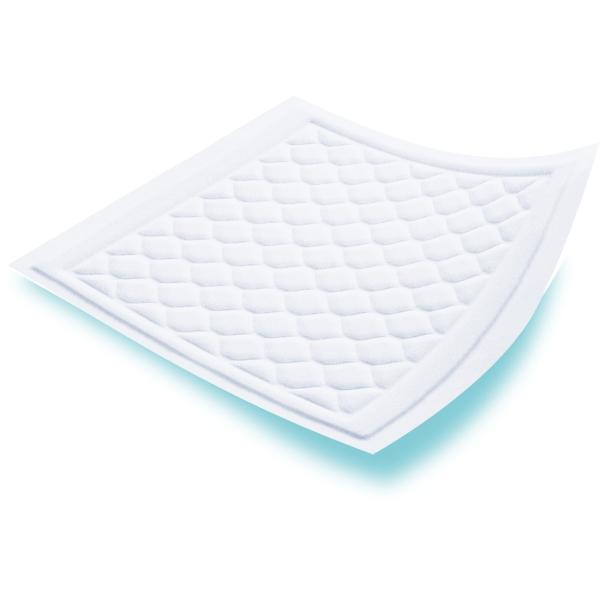 Bild 1 TENA Bed Plus 60 x 60 cm
