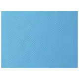 Duni Papier-Tischsets 30 x 40 cm, mint blue 1 Karton = 3 x 500 Stück