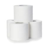 Toilettenpapier TOP 9,5 x 11cm 3-lagig, weiß, Recycling Papier 1 Pack = 64 Rollen