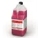 ECOLAB Diesin Maxx Desinfektionreiniger sauer 5 l Kanister