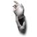 Basic-Touch Latex Einmalhandschuhe puderfrei, weiß, Gr. M 1 Box = 100 Stück