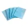 Jöst Blue Magic Staubbindetücher blau, 210 x 150 mm 1 Pack = 10 Stück